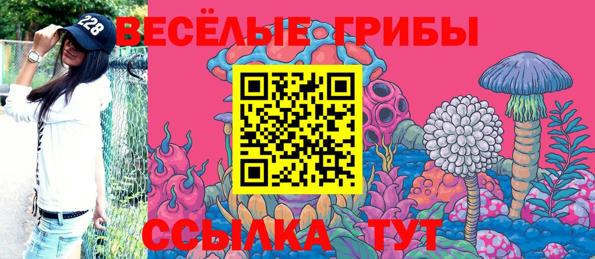 Усть-Джегута  Галлюциногенные грибы GOLDEN TEACHER  Вход с VPN 